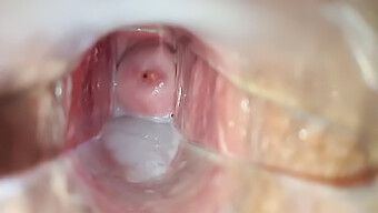 Intense Ejaculation Inside The Vagina Captured In Close-Up View