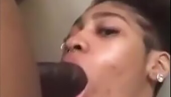 Pasangan Amatur Menikmati Blowjob Batang Hitam Yang Besar.